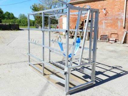 Cattle Handling Crush