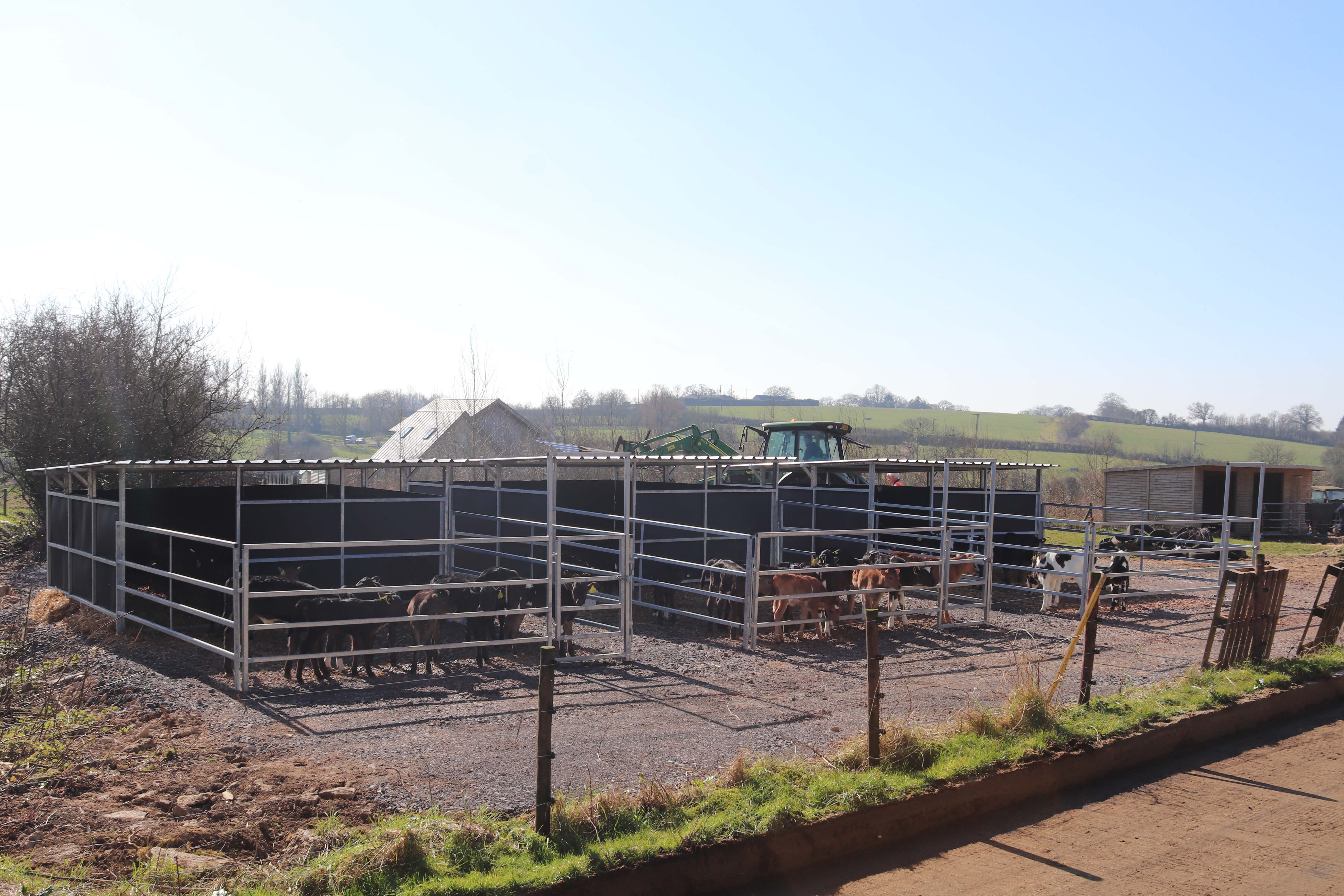 Calf Houses - galv 2